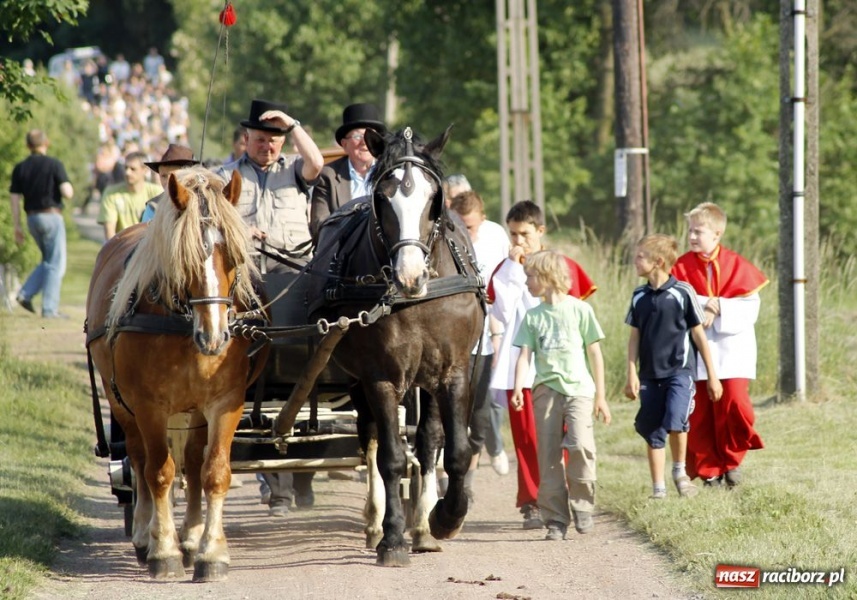 Zdjęcie w galerii na portalu naszraciborz.pl: W Brzeziu przeszła procesja św. Urbana wiadomości z regionu