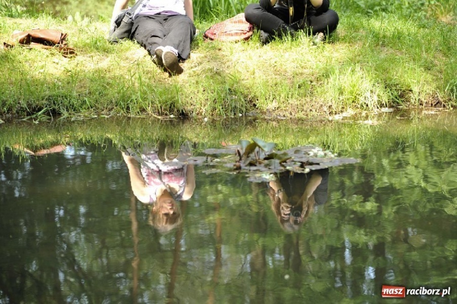 Zdjęcie w galerii na portalu naszraciborz.pl: Arboretum Bramy Morawskiej w obiektywie wiadomości z regionu