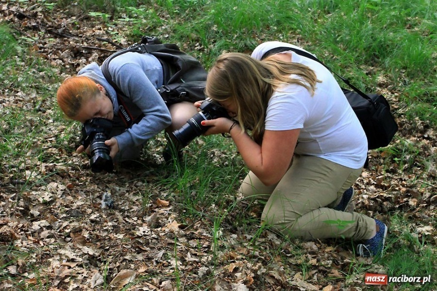 Zdjęcie w galerii na portalu naszraciborz.pl: Arboretum Bramy Morawskiej w obiektywie wiadomości z regionu