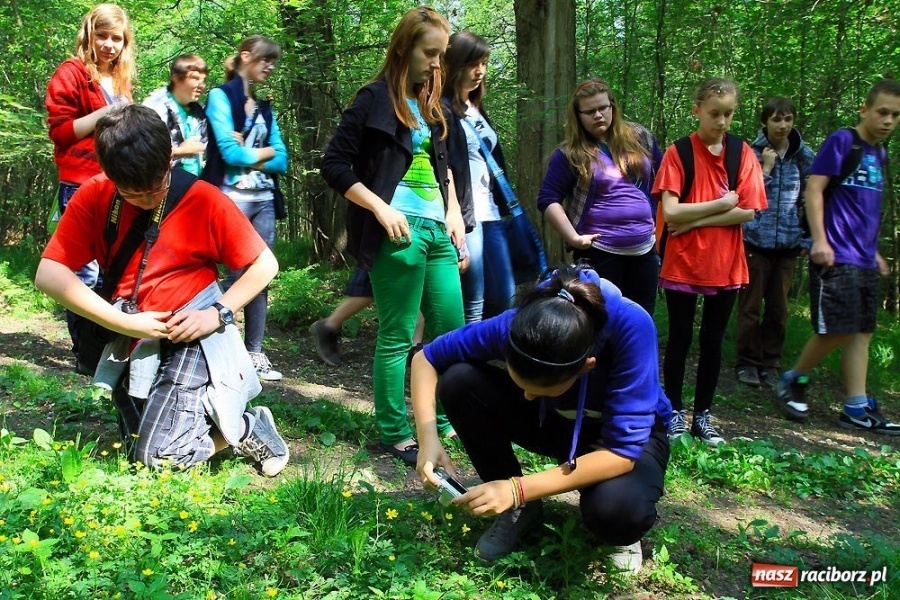 Zdjęcie w galerii na portalu naszraciborz.pl: Arboretum Bramy Morawskiej w obiektywie wiadomości z regionu