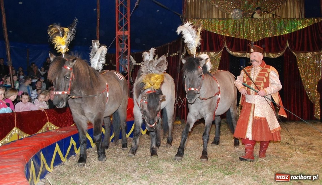 Zdjęcie w galerii na portalu naszraciborz.pl: Wygraj zaproszenie do Cyrku Arlekin wiadomości z regionu