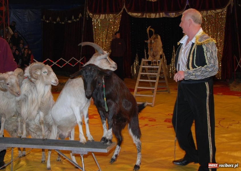 Zdjęcie w galerii na portalu naszraciborz.pl: Wygraj zaproszenie do Cyrku Arlekin wiadomości z regionu