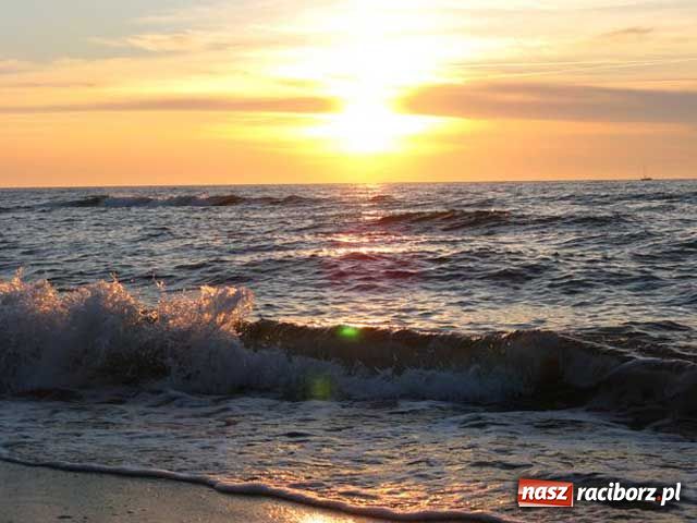 Zdjęcie w galerii na portalu naszraciborz.pl: Pleśna jest the best wiadomości z regionu