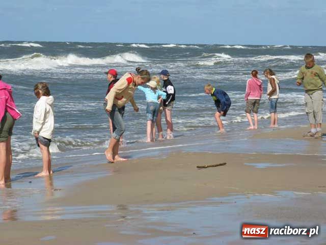 Zdjęcie w galerii na portalu naszraciborz.pl: Pleśna jest the best wiadomości z regionu