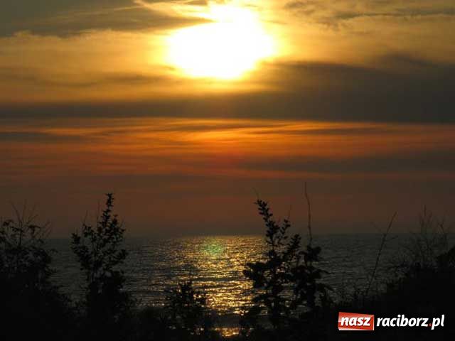 Zdjęcie w galerii na portalu naszraciborz.pl: Pleśna jest the best wiadomości z regionu