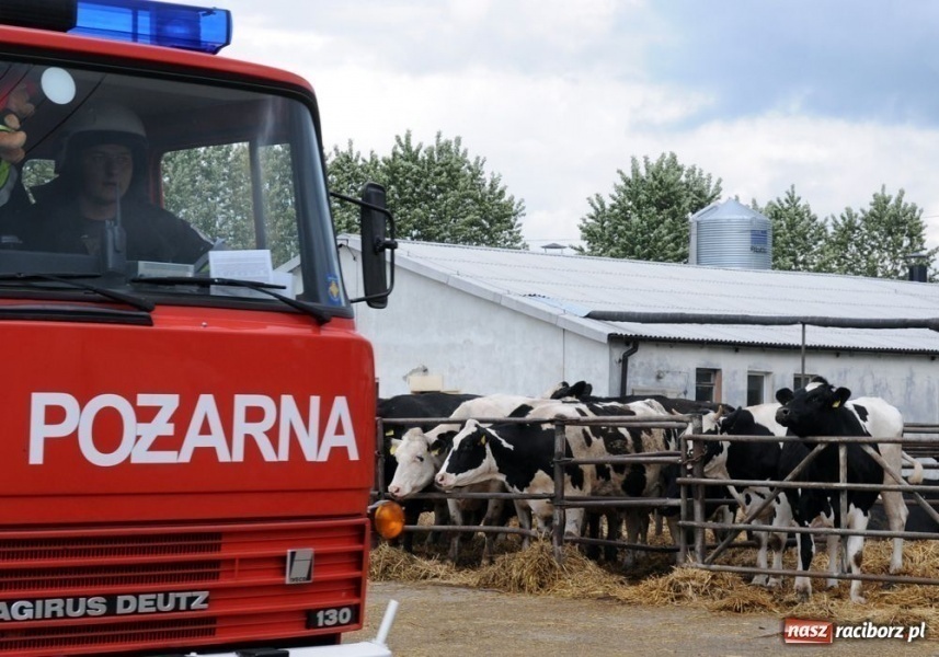 Zdjęcie w galerii na portalu naszraciborz.pl: Pożar magazynu w RSP Krzanowice wiadomości z regionu