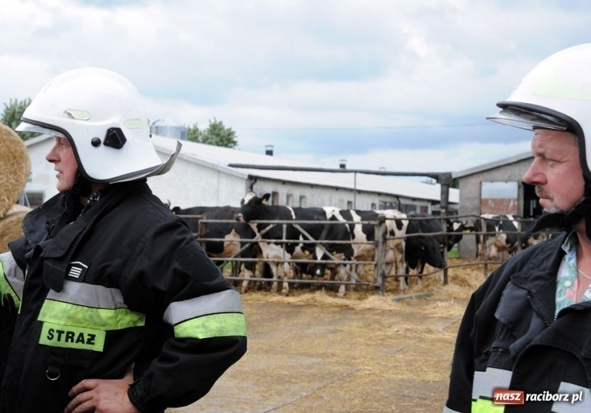 Zdjęcie w galerii na portalu naszraciborz.pl: Pożar magazynu w RSP Krzanowice wiadomości z regionu