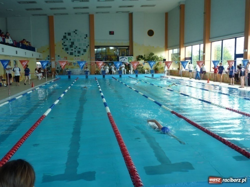 Zdjęcie w galerii na portalu naszraciborz.pl: Śląskie mistrzostwa pływaków  wiadomości z regionu