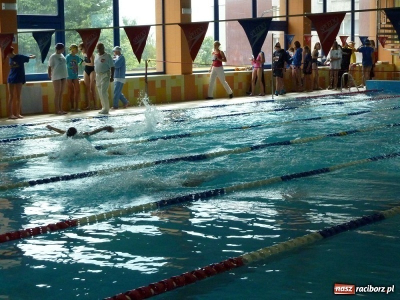 Zdjęcie w galerii na portalu naszraciborz.pl: Śląskie mistrzostwa pływaków  wiadomości z regionu