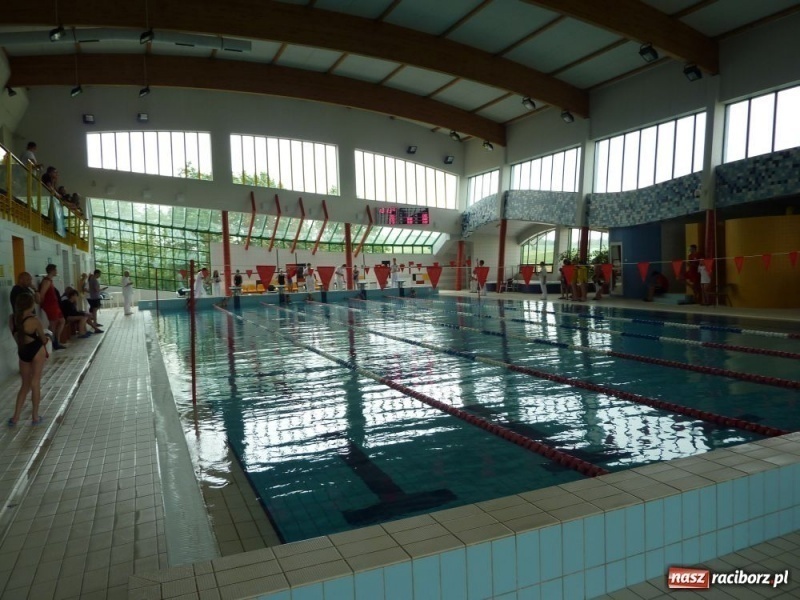 Zdjęcie w galerii na portalu naszraciborz.pl: Śląskie mistrzostwa pływaków  wiadomości z regionu