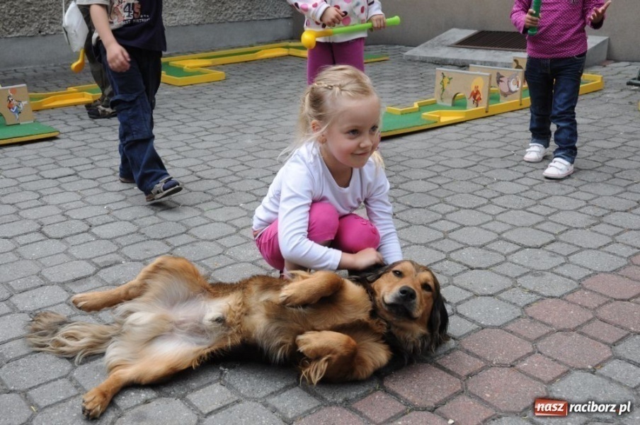 Zdjęcie w galerii na portalu naszraciborz.pl: Na Płoni świętują 80. urodziny parafii wiadomości z regionu
