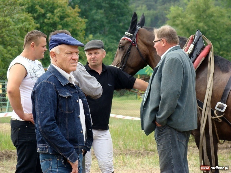 Zdjęcie w galerii na portalu naszraciborz.pl: Koń Leon uciągnął 1200 kg wiadomości z regionu