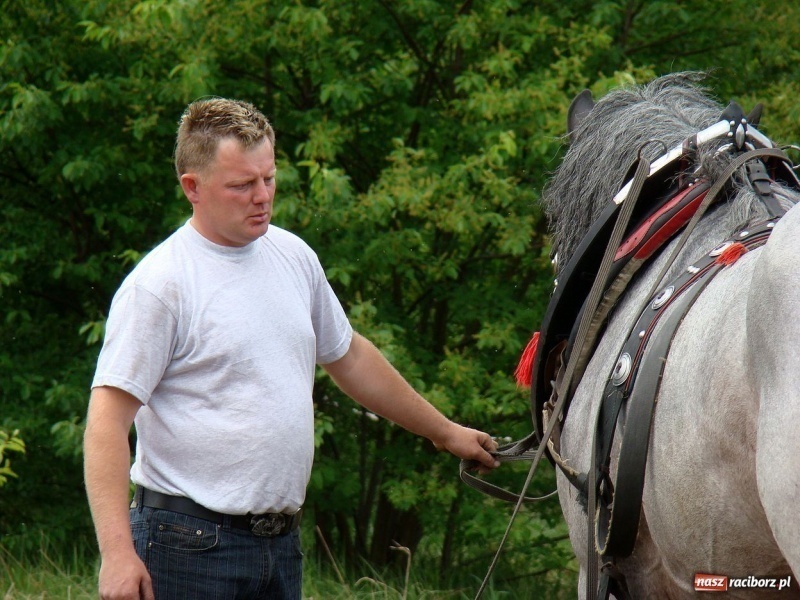Zdjęcie w galerii na portalu naszraciborz.pl: Koń Leon uciągnął 1200 kg wiadomości z regionu