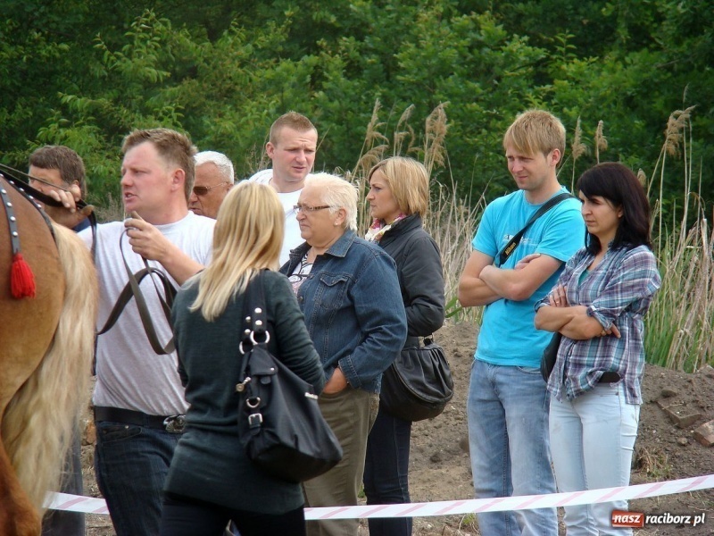 Zdjęcie w galerii na portalu naszraciborz.pl: Koń Leon uciągnął 1200 kg wiadomości z regionu