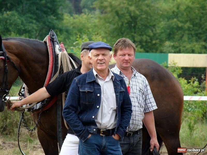 Zdjęcie w galerii na portalu naszraciborz.pl: Koń Leon uciągnął 1200 kg wiadomości z regionu