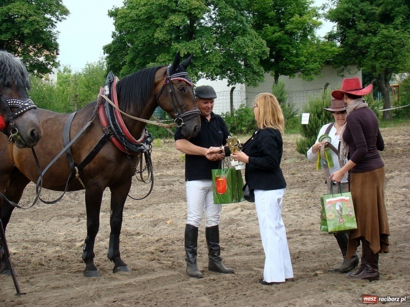 Zdjęcie w galerii na portalu naszraciborz.pl: Koń Leon uciągnął 1200 kg wiadomości z regionu
