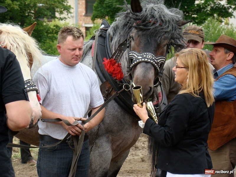 Zdjęcie w galerii na portalu naszraciborz.pl: Koń Leon uciągnął 1200 kg wiadomości z regionu