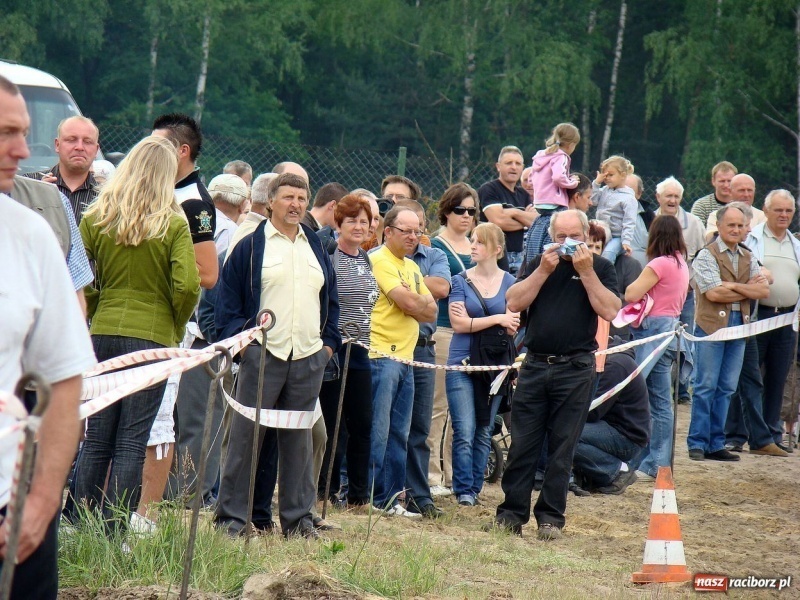 Zdjęcie w galerii na portalu naszraciborz.pl: Koń Leon uciągnął 1200 kg wiadomości z regionu