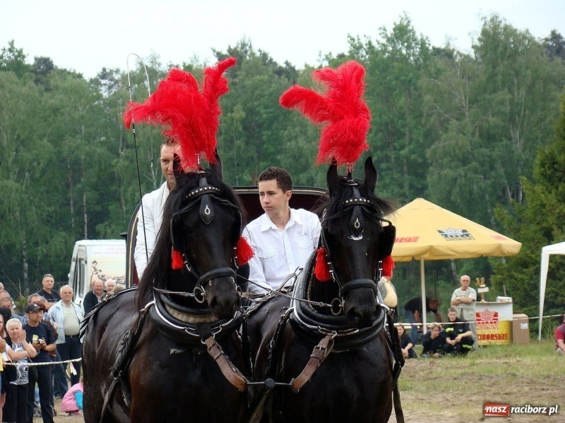 Zdjęcie w galerii na portalu naszraciborz.pl: Koń Leon uciągnął 1200 kg wiadomości z regionu