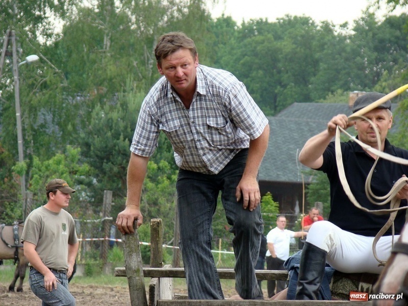 Zdjęcie w galerii na portalu naszraciborz.pl: Koń Leon uciągnął 1200 kg wiadomości z regionu