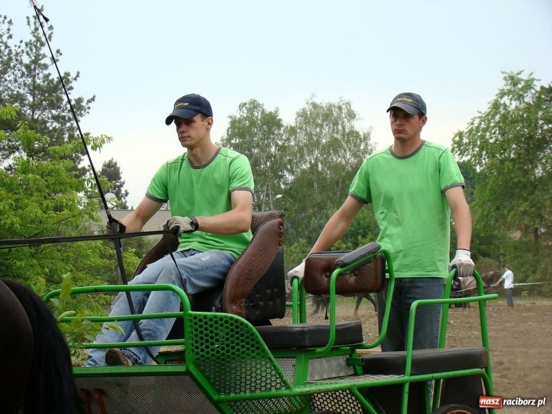 Zdjęcie w galerii na portalu naszraciborz.pl: Koń Leon uciągnął 1200 kg wiadomości z regionu