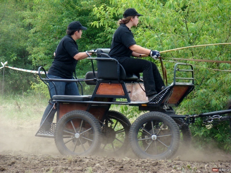 Zdjęcie w galerii na portalu naszraciborz.pl: Koń Leon uciągnął 1200 kg wiadomości z regionu