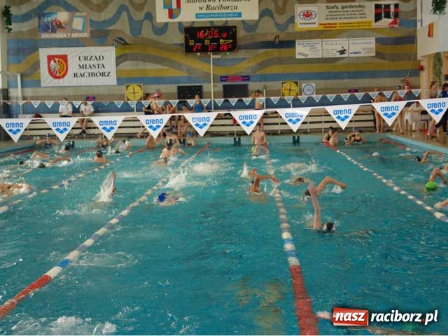 Zdjęcie w galerii na portalu naszraciborz.pl: Pływanie: Dobre starty raciborzan wiadomości z regionu