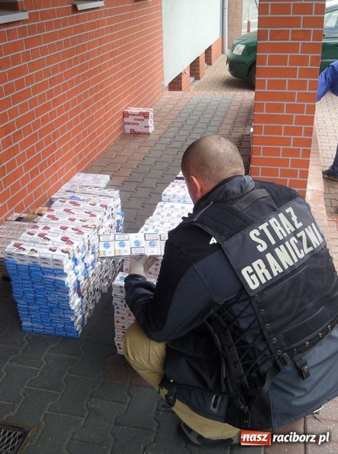 Zdjęcie w galerii na portalu naszraciborz.pl: ŚOSG: Zatrzymane ponad 11 000 paczek nielegalnych papierosów wiadomości z regionu