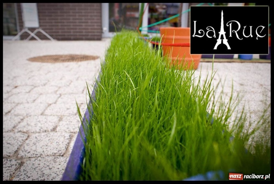 Zdjęcie w galerii na portalu naszraciborz.pl: Usiądź, wypij kawę, rozkoszuj się chwilą wiadomości z regionu