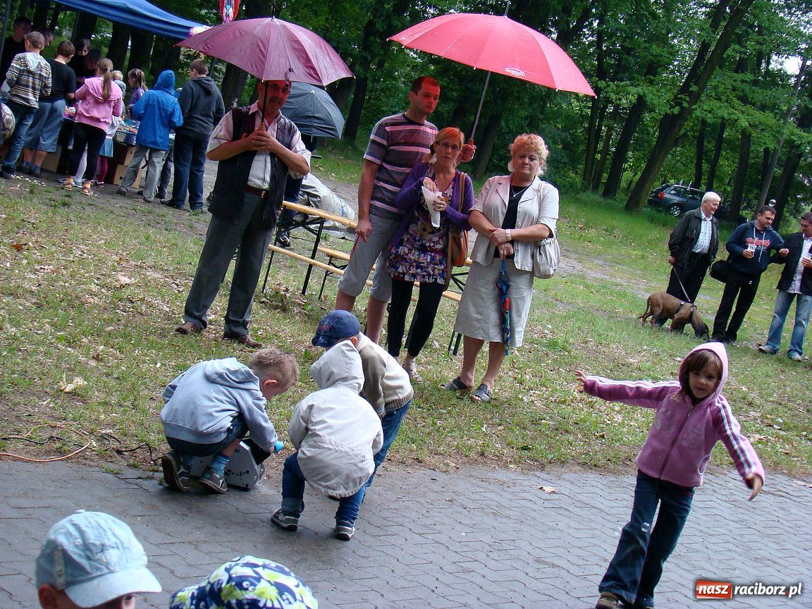 Zdjęcie w galerii na portalu naszraciborz.pl: Dzieci świętowały w parku Dębina wiadomości z regionu
