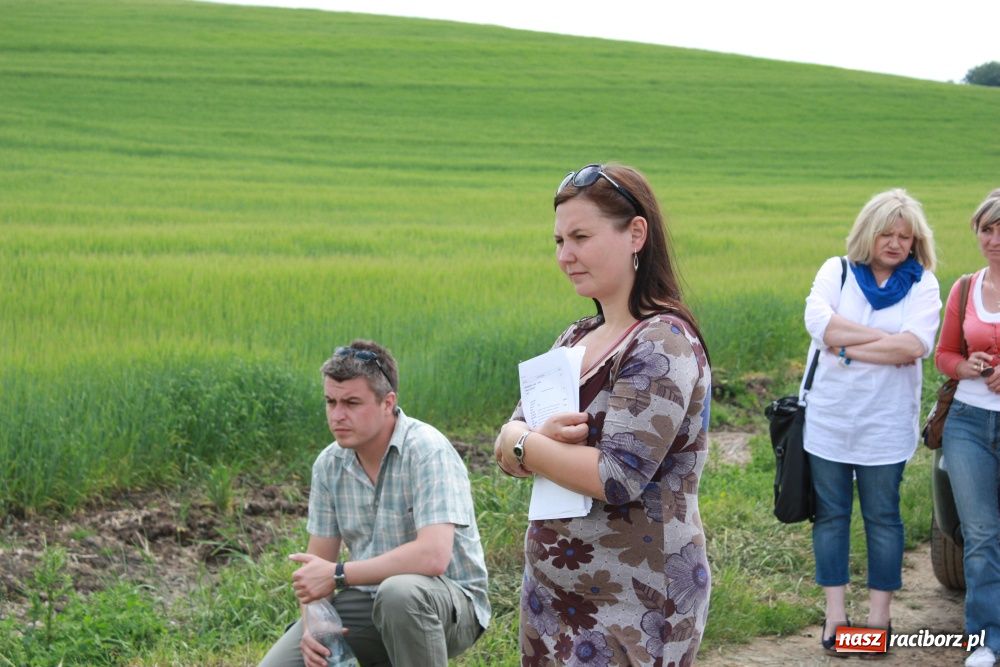 Zdjęcie w galerii na portalu naszraciborz.pl: Krzanowickie omy w polskiej i czeskiej TV wiadomości z regionu