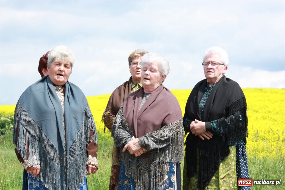 Zdjęcie w galerii na portalu naszraciborz.pl: Krzanowickie omy w polskiej i czeskiej TV wiadomości z regionu