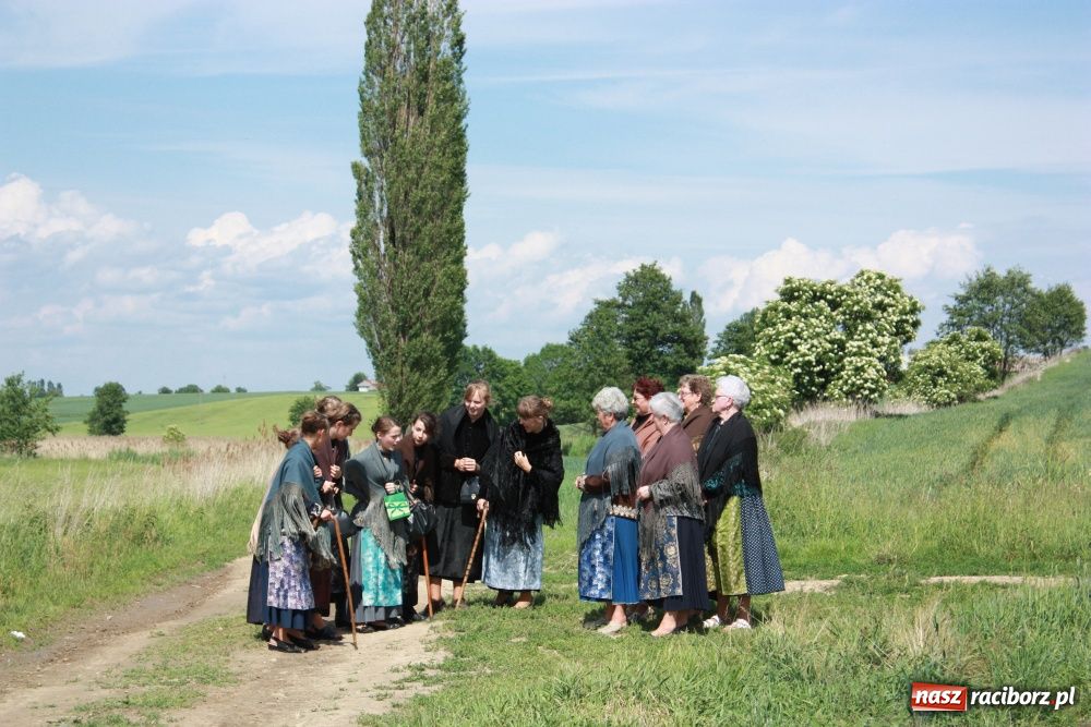 Zdjęcie w galerii na portalu naszraciborz.pl: Krzanowickie omy w polskiej i czeskiej TV wiadomości z regionu
