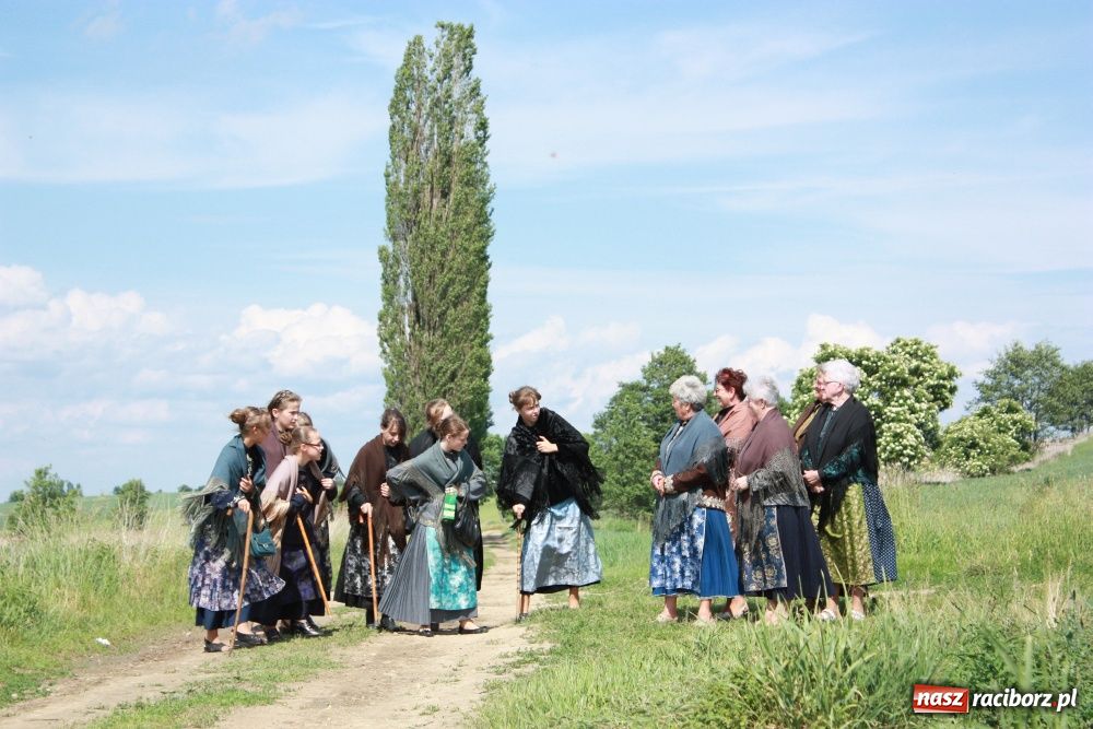 Zdjęcie w galerii na portalu naszraciborz.pl: Krzanowickie omy w polskiej i czeskiej TV wiadomości z regionu