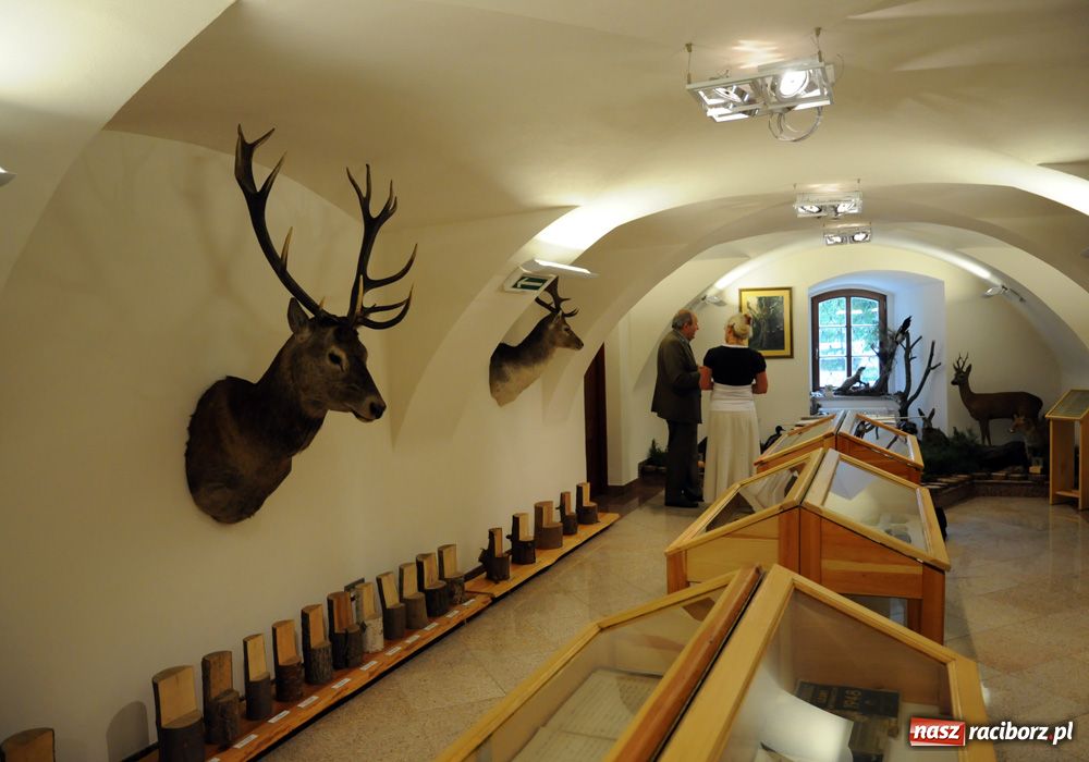 Zdjęcie w galerii na portalu naszraciborz.pl: Śląskie Sherwood na zamku wiadomości z regionu