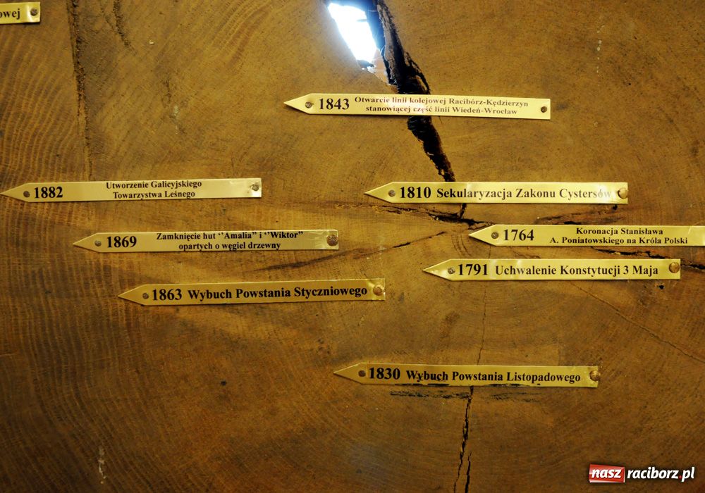 Zdjęcie w galerii na portalu naszraciborz.pl: Śląskie Sherwood na zamku wiadomości z regionu