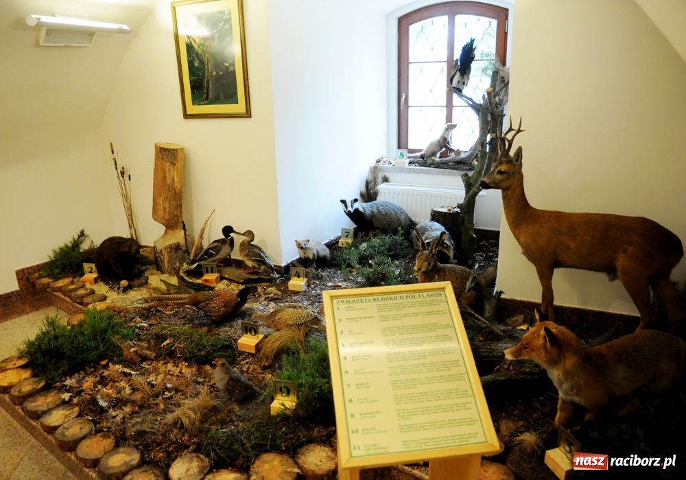 Zdjęcie w galerii na portalu naszraciborz.pl: Śląskie Sherwood na zamku wiadomości z regionu