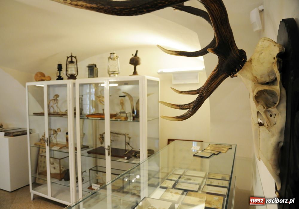 Zdjęcie w galerii na portalu naszraciborz.pl: Śląskie Sherwood na zamku wiadomości z regionu