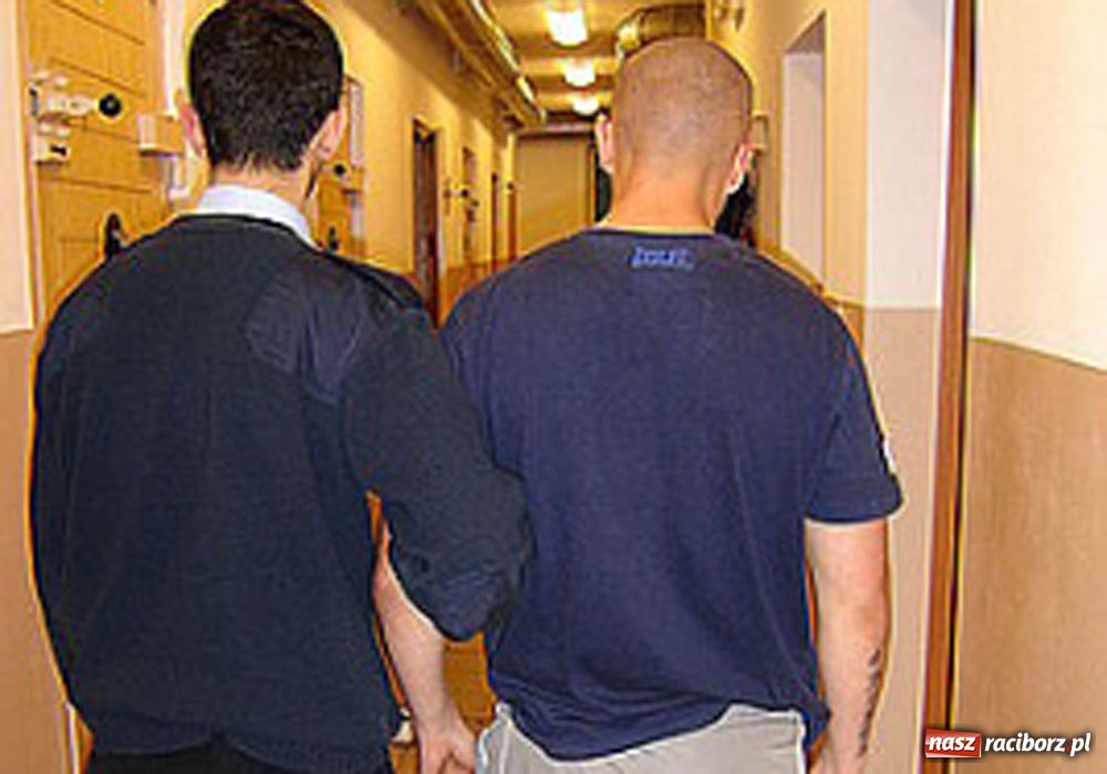 Zdjęcie w galerii na portalu naszraciborz.pl: Areszt za posiadanie amfetaminy wiadomości z regionu