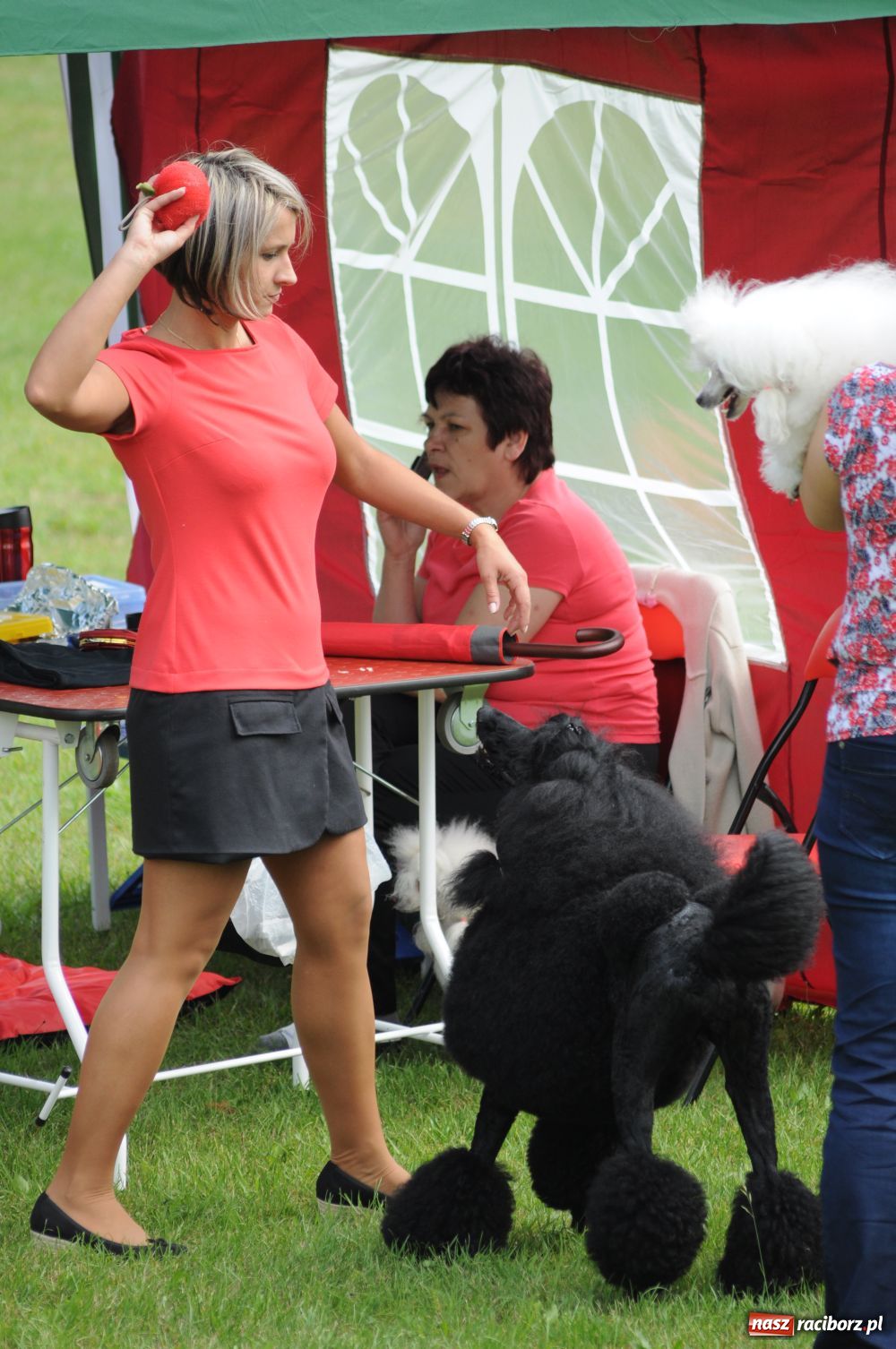 Zdjęcie w galerii na portalu naszraciborz.pl: Raciborskiej wystawie stuknęła 18-tka wiadomości z regionu