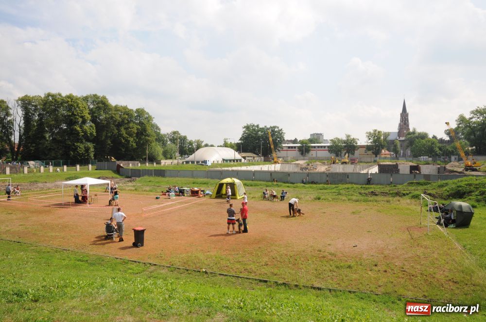 Zdjęcie w galerii na portalu naszraciborz.pl: Raciborskiej wystawie stuknęła 18-tka wiadomości z regionu