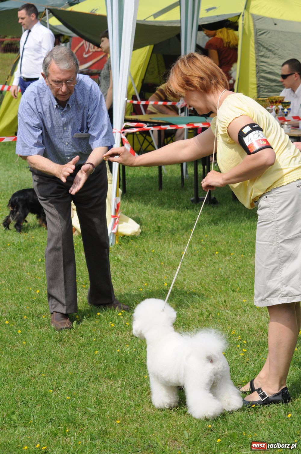 Zdjęcie w galerii na portalu naszraciborz.pl: Raciborskiej wystawie stuknęła 18-tka wiadomości z regionu