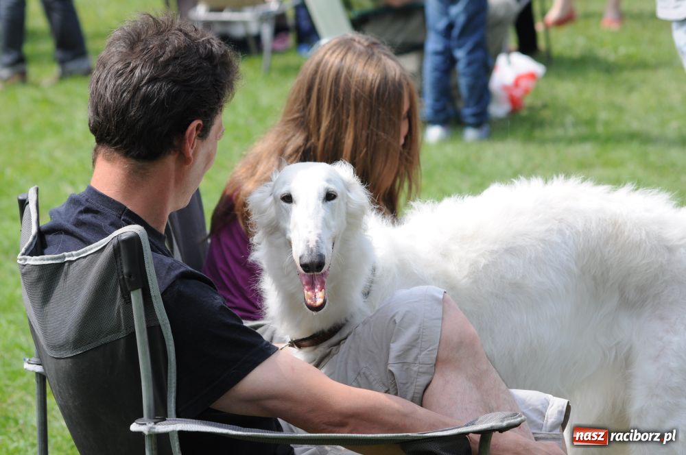 Zdjęcie w galerii na portalu naszraciborz.pl: Raciborskiej wystawie stuknęła 18-tka wiadomości z regionu