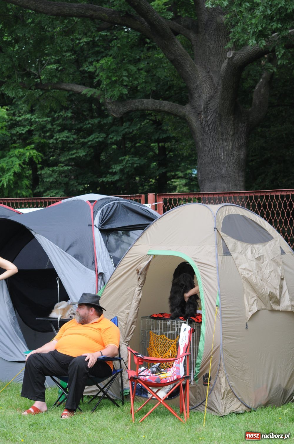 Zdjęcie w galerii na portalu naszraciborz.pl: Raciborskiej wystawie stuknęła 18-tka wiadomości z regionu