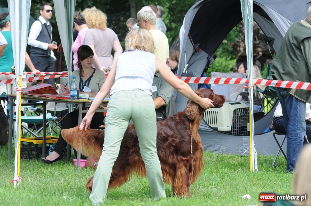 Zdjęcie w galerii na portalu naszraciborz.pl: Raciborskiej wystawie stuknęła 18-tka wiadomości z regionu