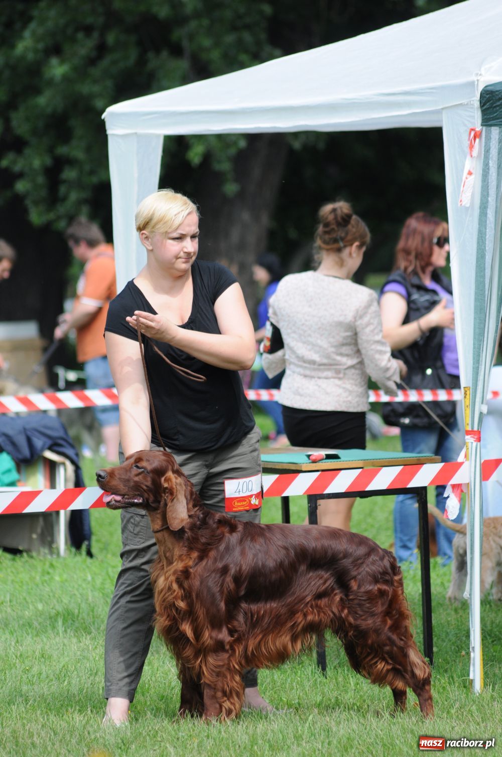 Zdjęcie w galerii na portalu naszraciborz.pl: Raciborskiej wystawie stuknęła 18-tka wiadomości z regionu