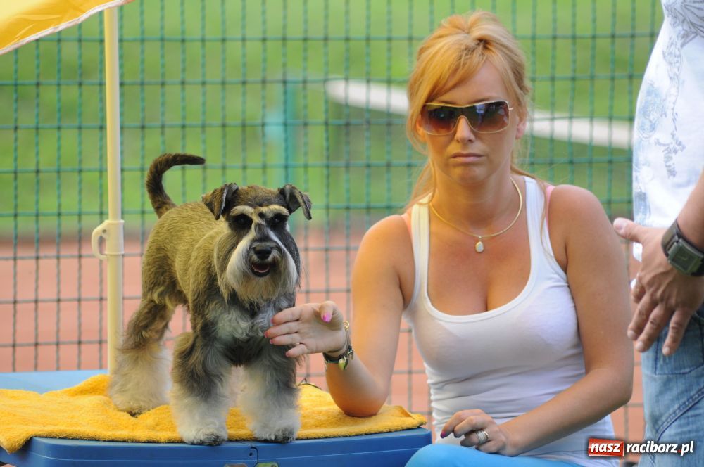 Zdjęcie w galerii na portalu naszraciborz.pl: Raciborskiej wystawie stuknęła 18-tka wiadomości z regionu