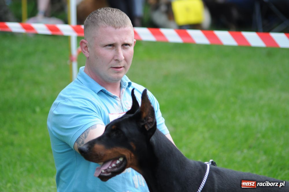 Zdjęcie w galerii na portalu naszraciborz.pl: Raciborskiej wystawie stuknęła 18-tka wiadomości z regionu