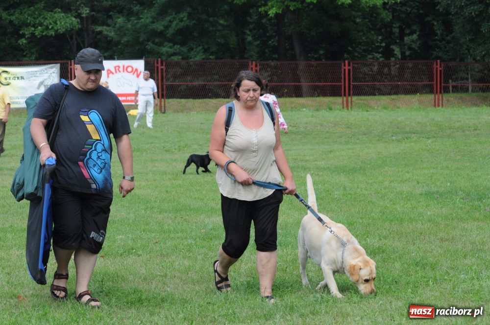 Zdjęcie w galerii na portalu naszraciborz.pl: Raciborskiej wystawie stuknęła 18-tka wiadomości z regionu