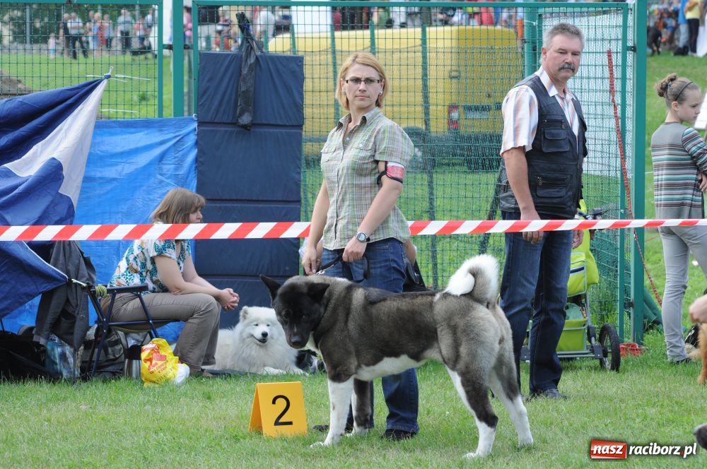 Zdjęcie w galerii na portalu naszraciborz.pl: Raciborskiej wystawie stuknęła 18-tka wiadomości z regionu